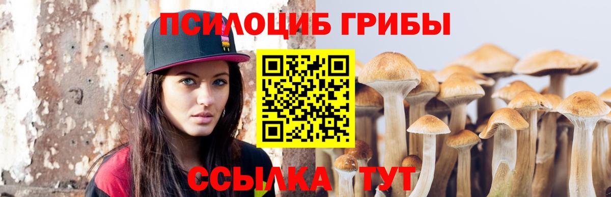 Галлюциногенные грибы мицелий  Вход с VPN  купить наркотик  Сочи 
